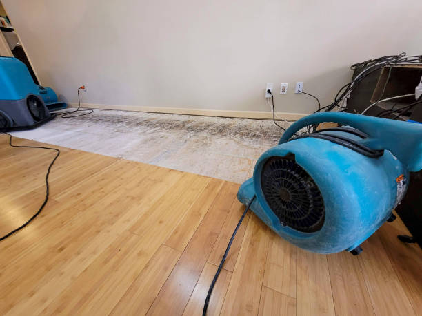 Professional Sewage Cleanup technician working in Holladay, TN